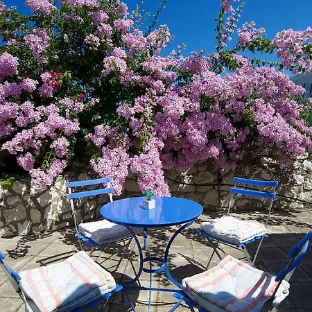Auntie's With View, Near Agia Efimia